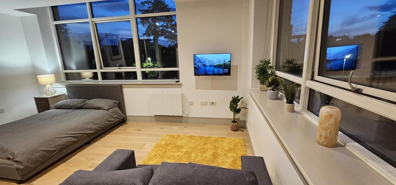 Studio Flat In Tottenham 伦敦 外观 照片